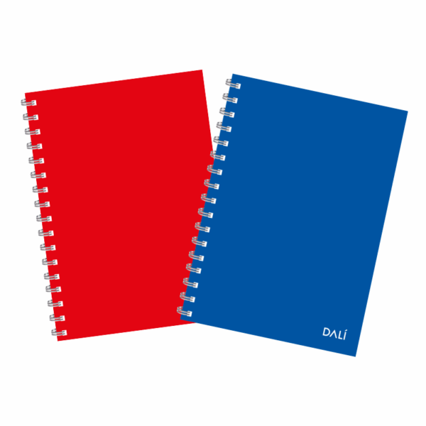 Cuaderno A5 Super Tapa Dura C. Fuertes DALI