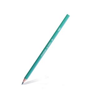 Lapiz de Escribir Evolution HB Bic